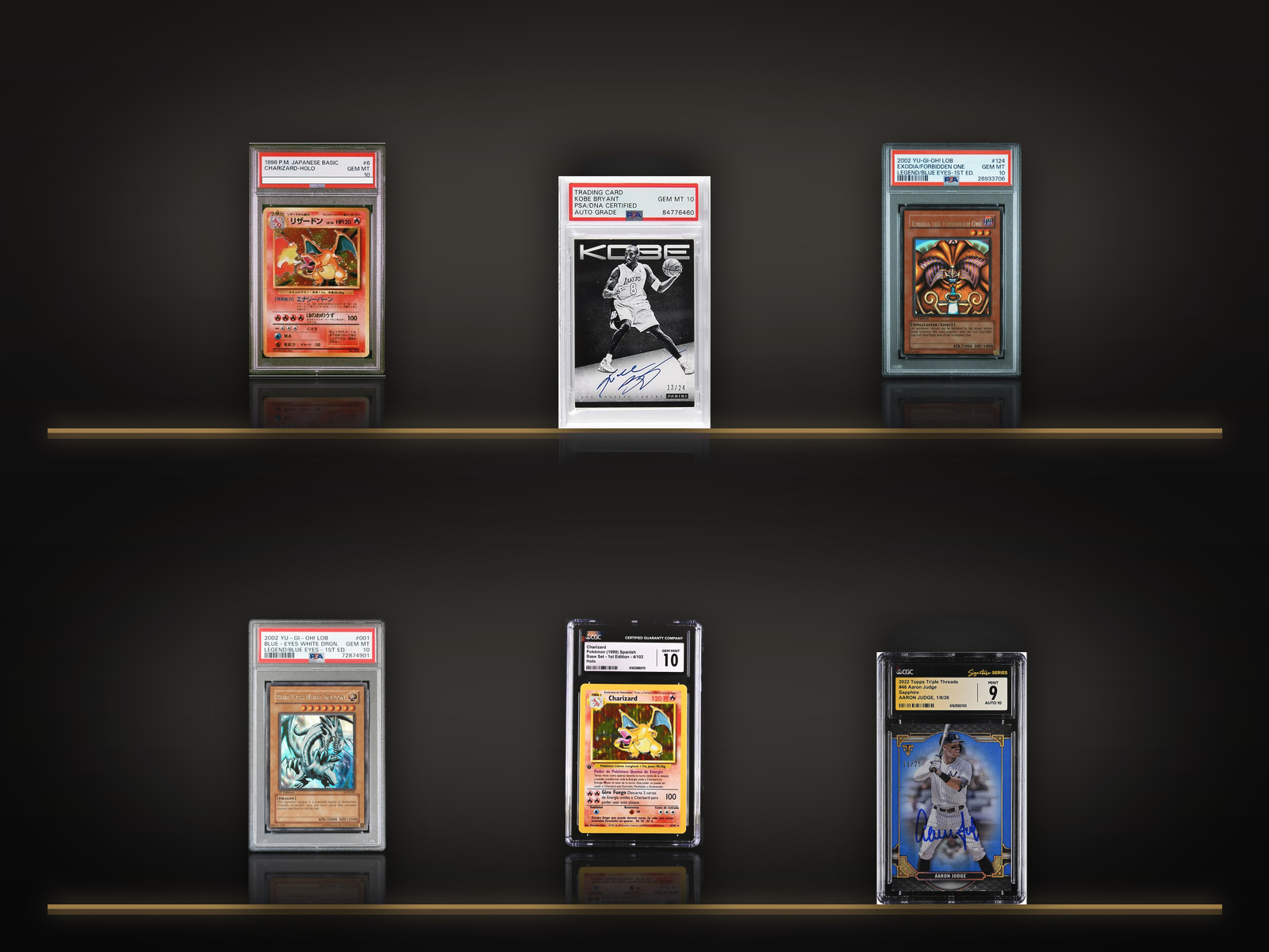 Graded slabs across Pokémon, Yu-Gi-Oh! and American sports on lit display shelves