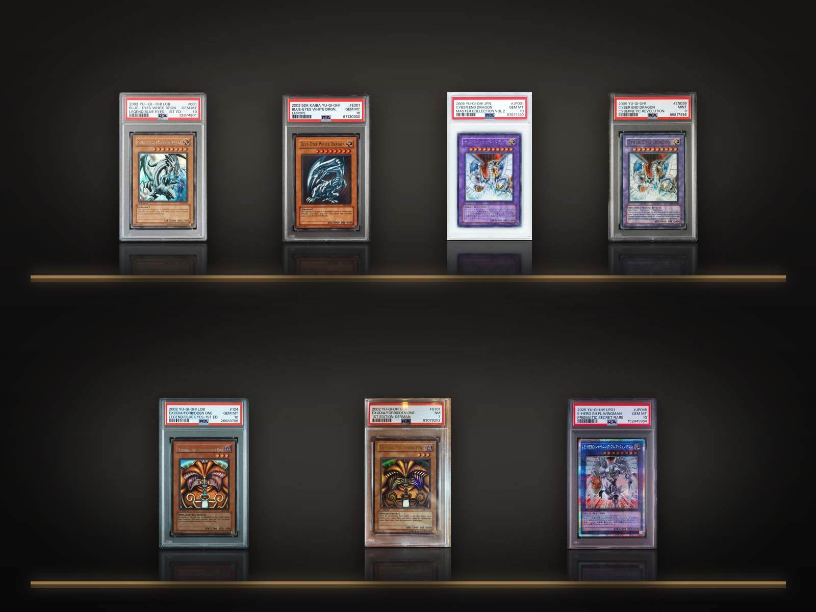 Graded Yu-Gi-Oh! cards from our holdings displayed on lit glass shelves in a dark cabinet